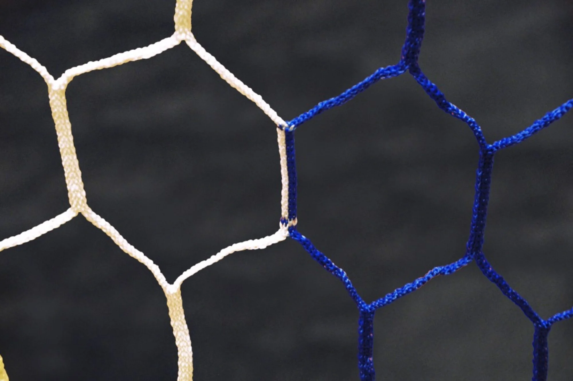 Powershot Fußballnetz - 11er Tor - Wabenförmig, 7,32 x 2,44 Meter - 4mm Weiß/Blau - Image 2