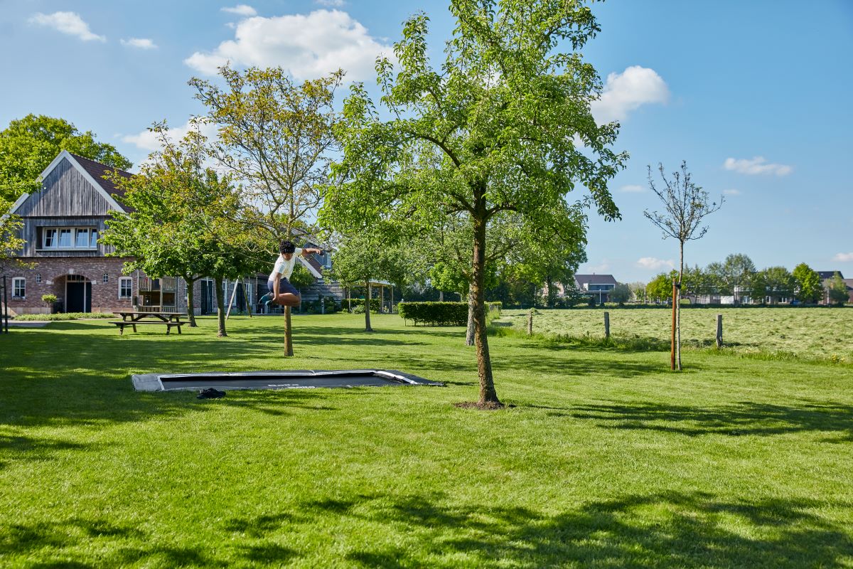 Salta Trampolin Royal Baseground Sports - 396x244cm - Rechteckig Schwarz - Image 7