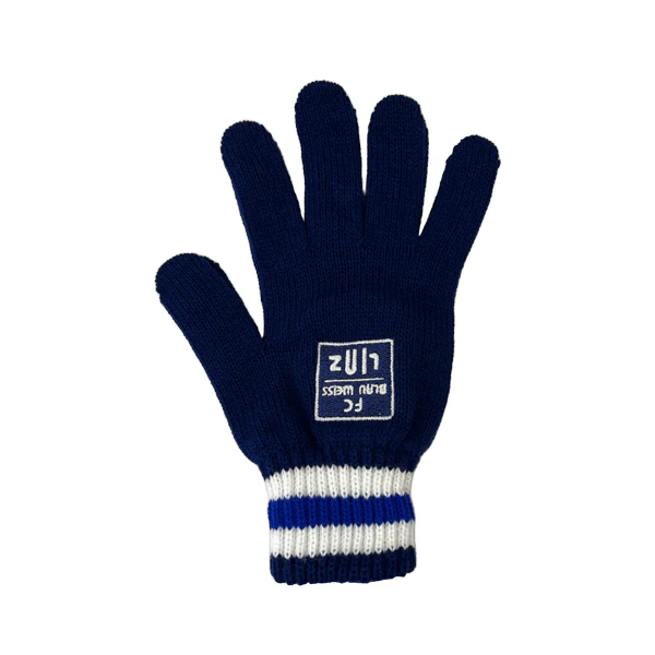FC Blau-Weiß Linz Handschuhe - Image 2