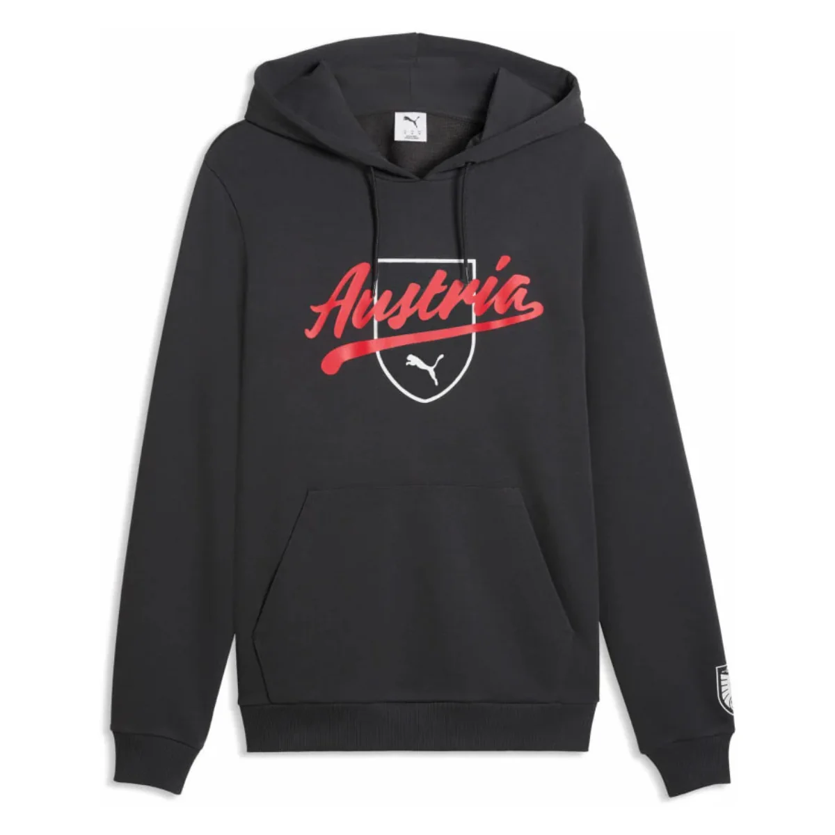 ÖFB Herrenfußballpullover Culture Hoody