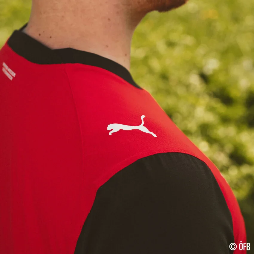 Ă–sterreich Ă–FB Herrentrikot Home Jersey Replica 2026 - Image 5